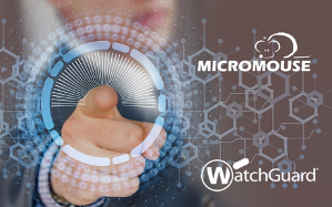 MICROMOUSE Y WatchGuard tus aliados en ciberseguridad